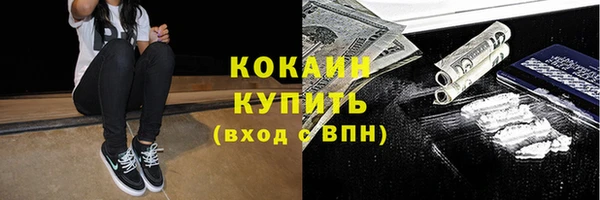 спиды Новозыбков