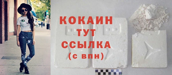спиды Новозыбков