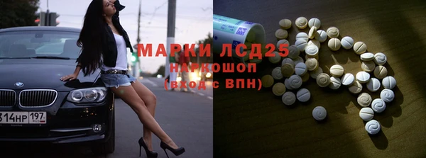 спиды Новозыбков