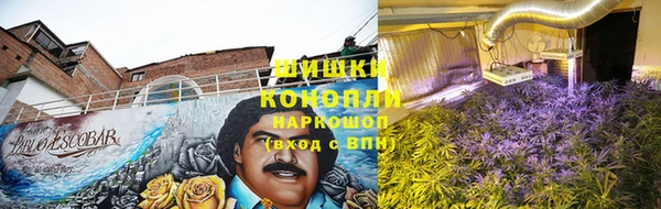 спиды Новозыбков