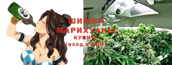 спиды Новозыбков