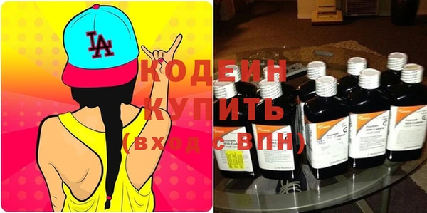 спиды Новозыбков
