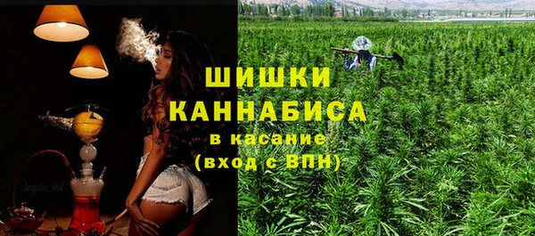 спиды Новозыбков