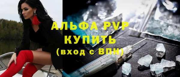 спиды Новозыбков