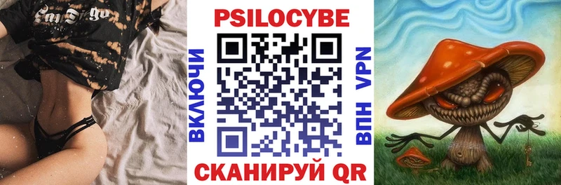 Галлюциногенные грибы Psilocybe  Купить где  Тосно 